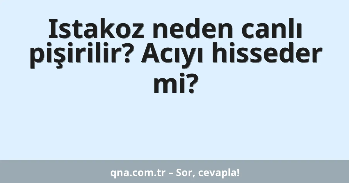 Istakoz neden canlı pişirilir? Acıyı hisseder mi?