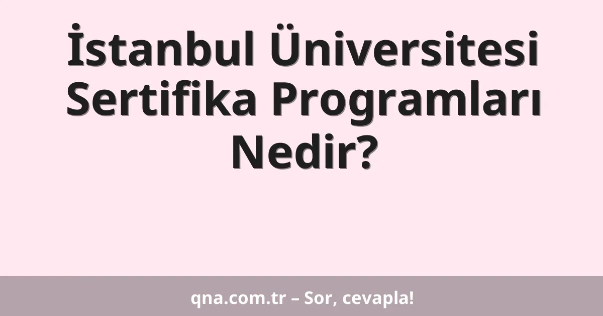 İstanbul Üniversitesi Sertifika Programları Nedir?