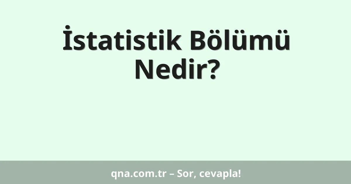 İstatistik Bölümü Nedir?