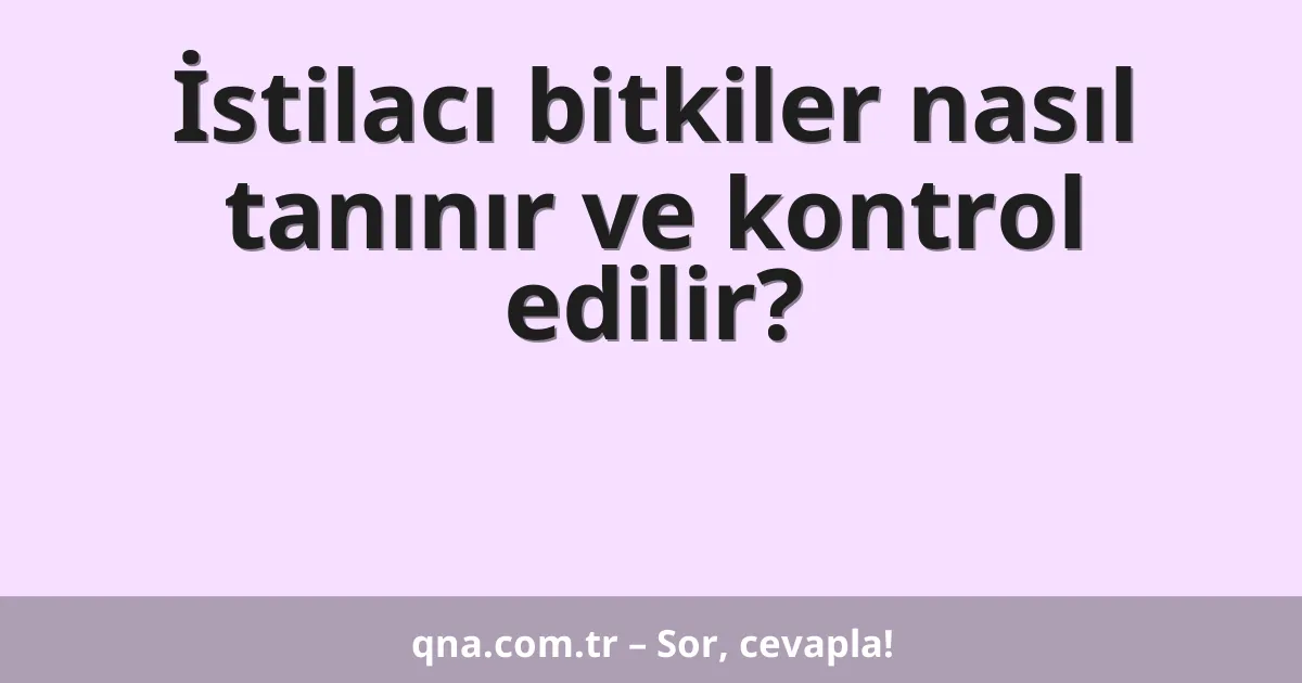 İstilacı bitkiler nasıl tanınır ve kontrol edilir?