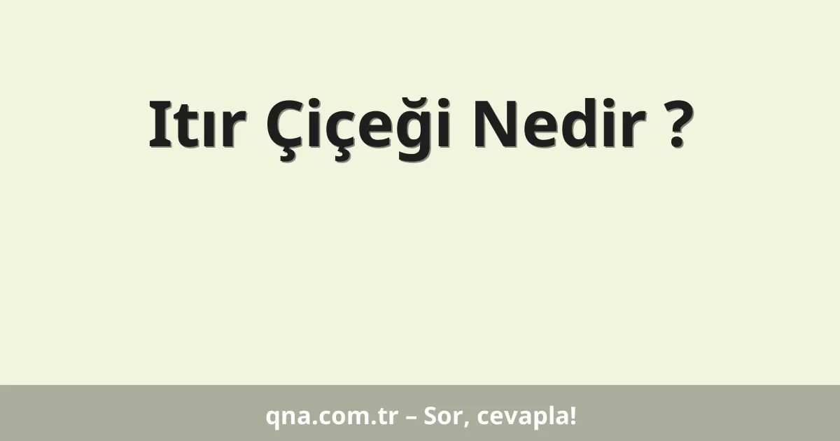 Itır Çiçeği Nedir ?