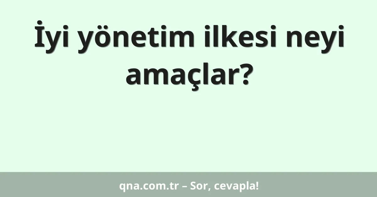 İyi yönetim ilkesi neyi amaçlar?