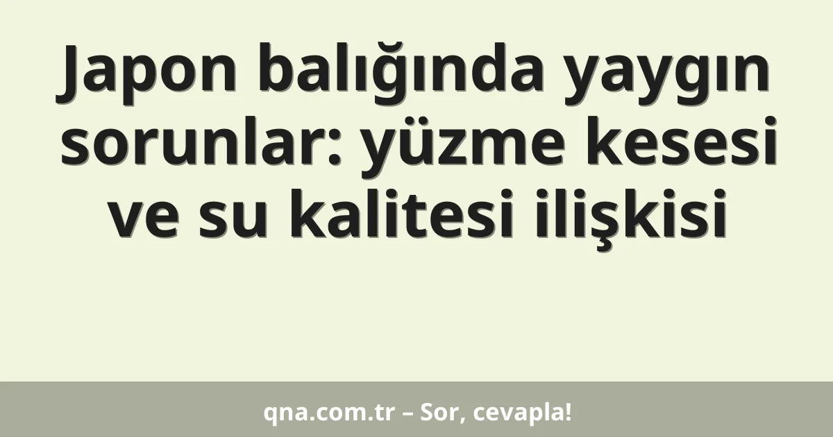 Japon balığında yaygın sorunlar: yüzme kesesi ve su kalitesi ilişkisi