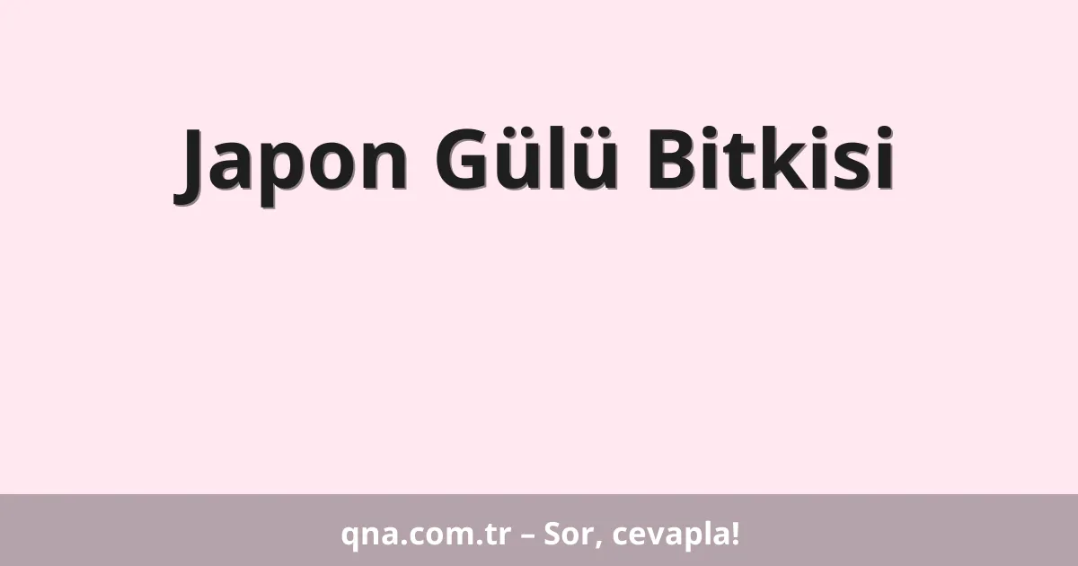 Japon Gülü Bitkisi
