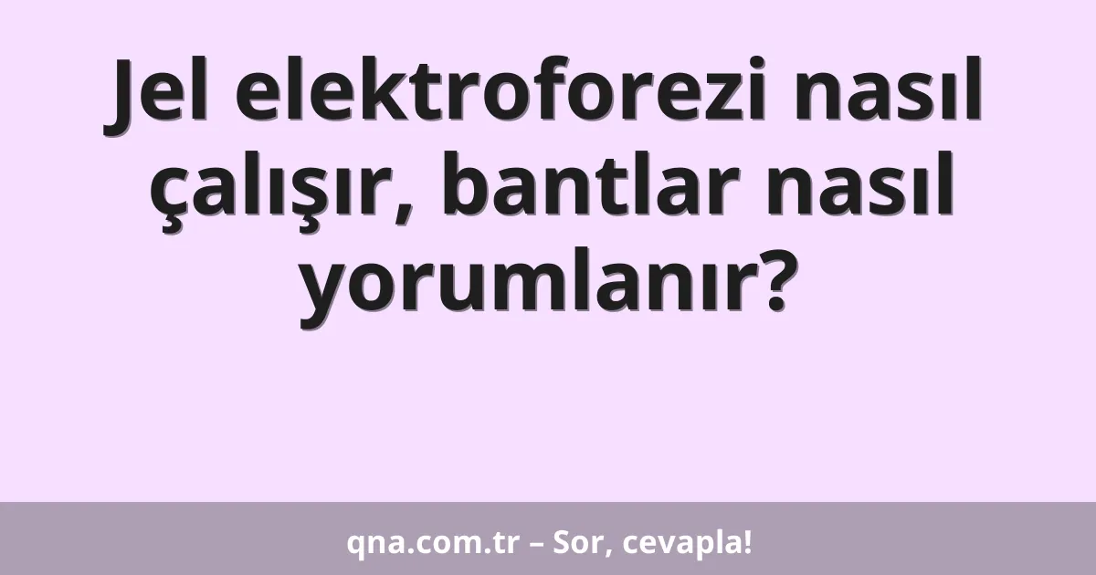 Jel elektroforezi nasıl çalışır, bantlar nasıl yorumlanır?