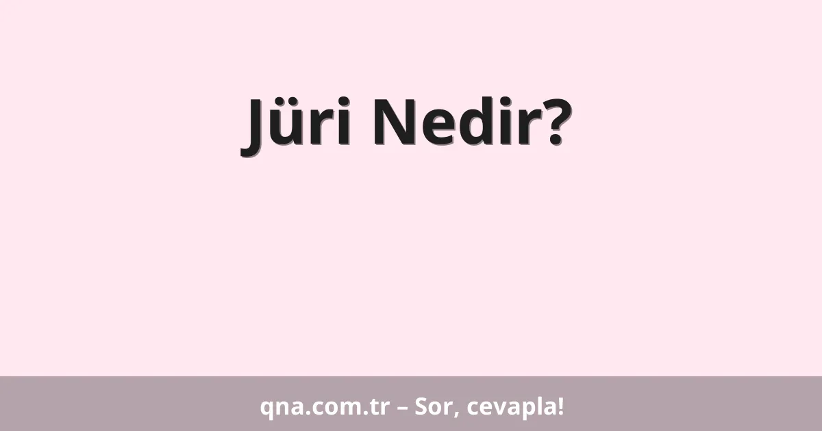 Jüri Nedir?