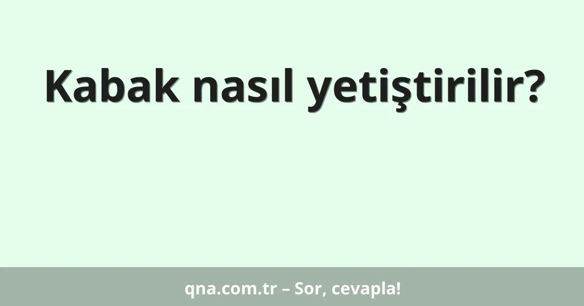 Kabak nasıl yetiştirilir?