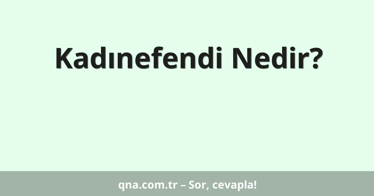 Kadınefendi Nedir?