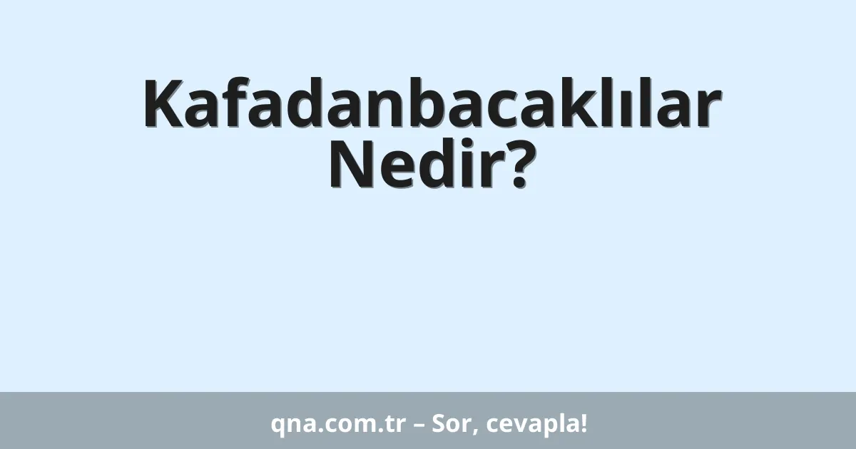 Kafadanbacaklılar Nedir?