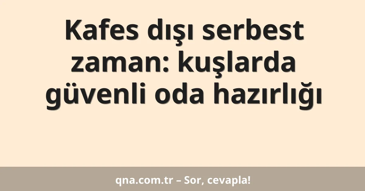 Kafes dışı serbest zaman: kuşlarda güvenli oda hazırlığı