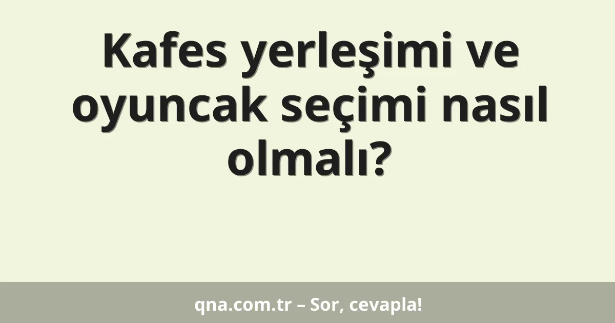 Kafes yerleşimi ve oyuncak seçimi nasıl olmalı?