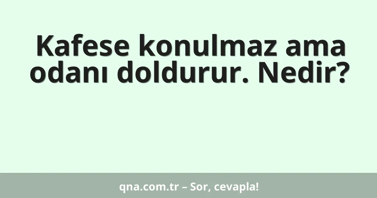 Kafese konulmaz ama odanı doldurur. Nedir?