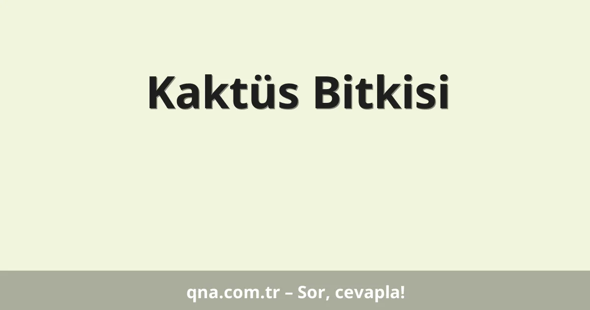 Kaktüs Bitkisi