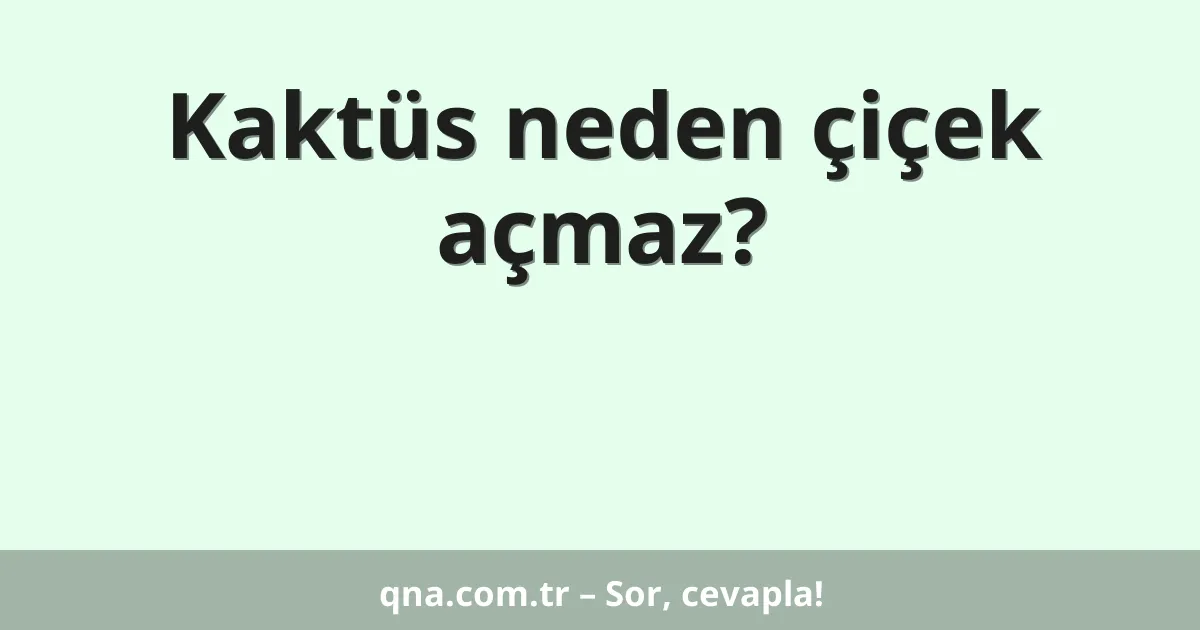 Kaktüs neden çiçek açmaz?