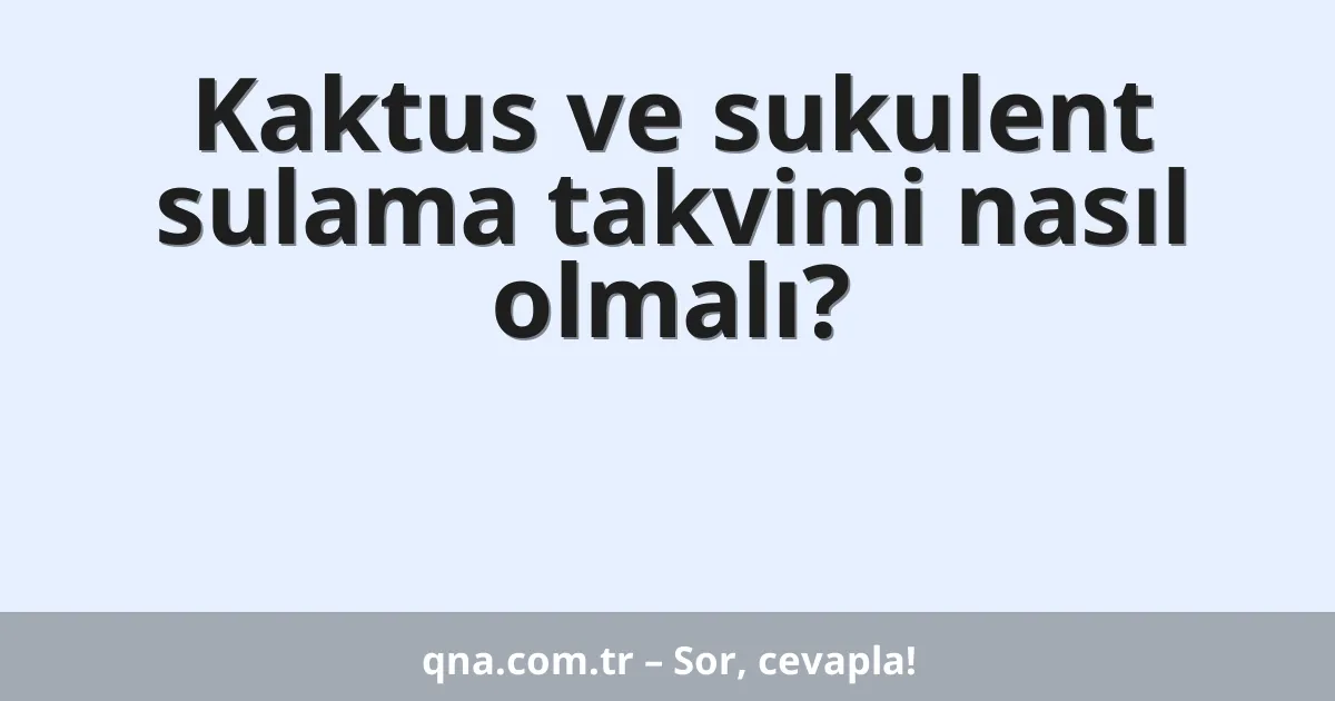 Kaktus ve sukulent sulama takvimi nasıl olmalı?