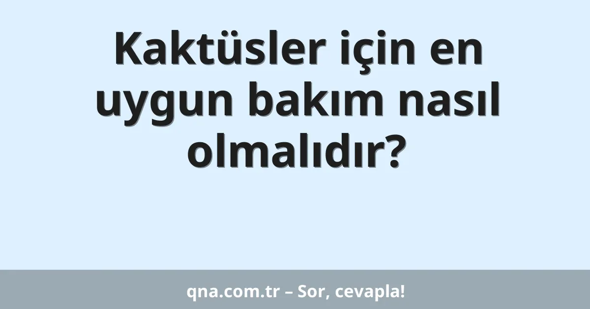 Kaktüsler için en uygun bakım nasıl olmalıdır?