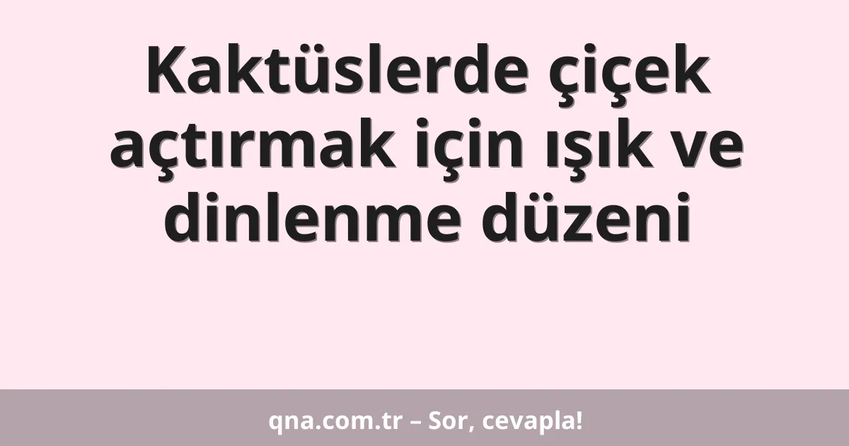 Kaktüslerde çiçek açtırmak için ışık ve dinlenme düzeni