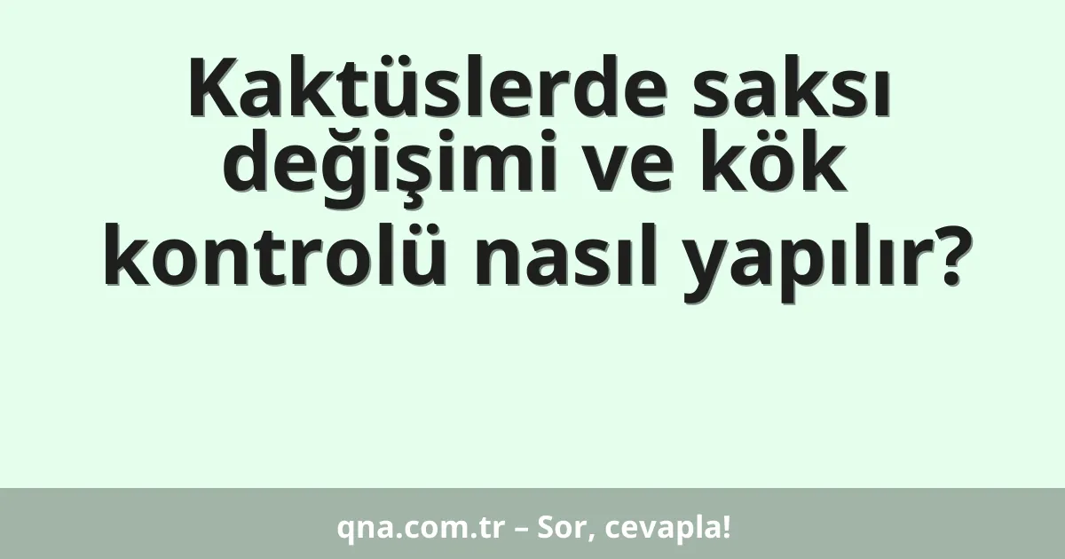 Kaktüslerde saksı değişimi ve kök kontrolü nasıl yapılır?