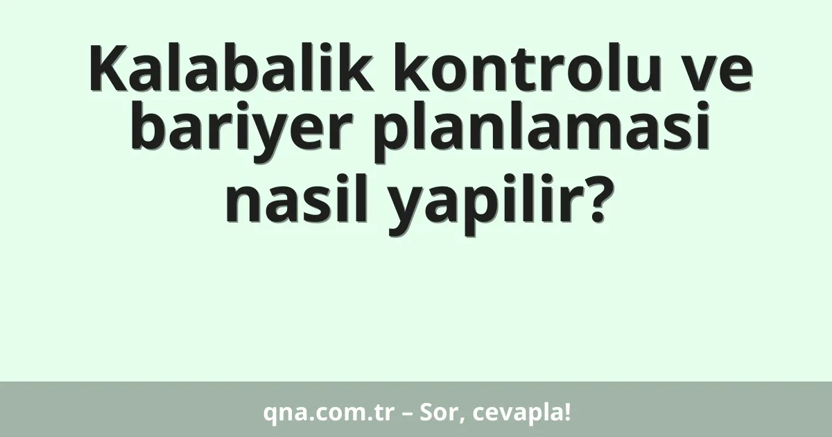Kalabalik kontrolu ve bariyer planlamasi nasil yapilir?