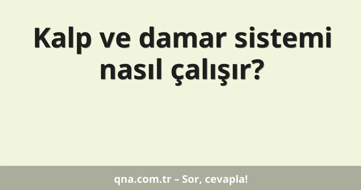 Kalp ve damar sistemi nasıl çalışır?
