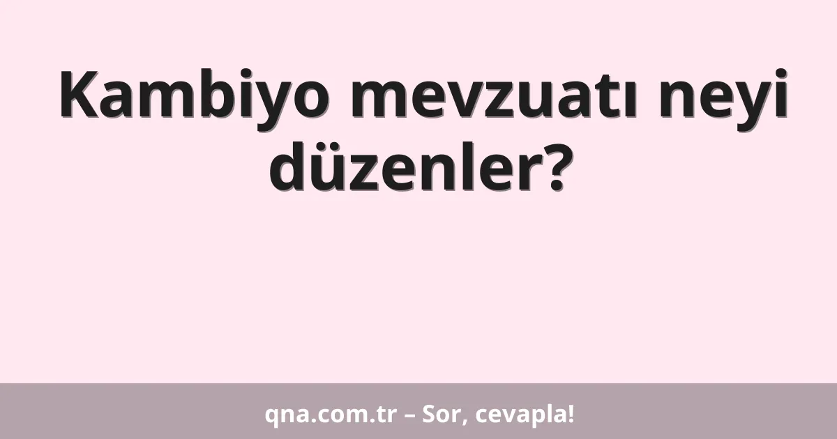 Kambiyo mevzuatı neyi düzenler?