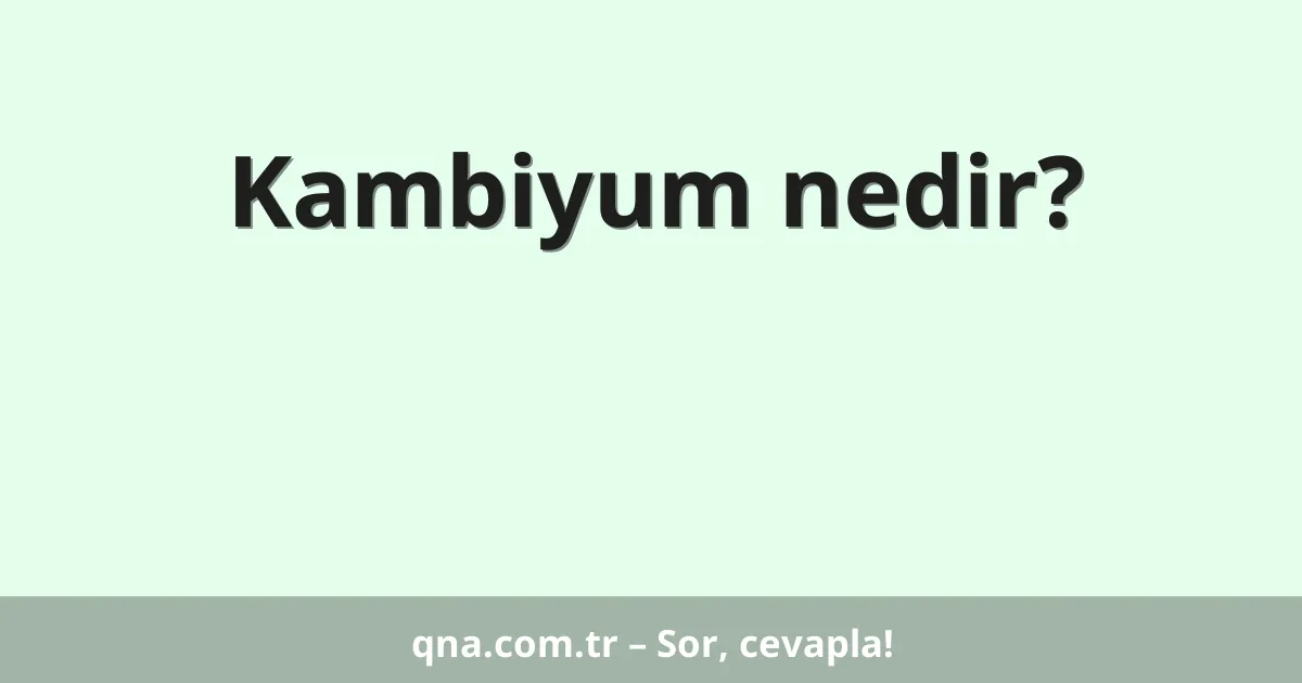 Kambiyum nedir?
