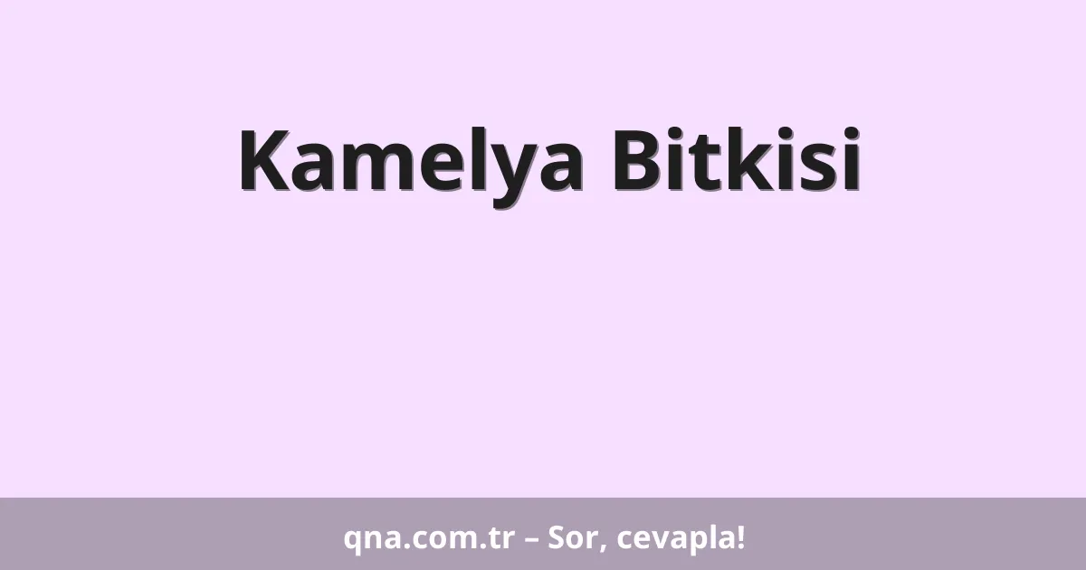 Kamelya Bitkisi