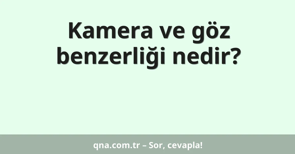 Kamera ve göz benzerliği nedir?