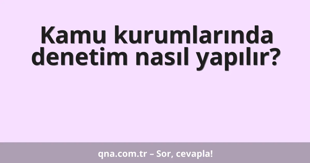 Kamu kurumlarında denetim nasıl yapılır?