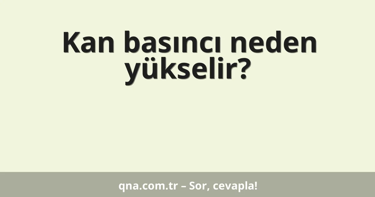 Kan basıncı neden yükselir?