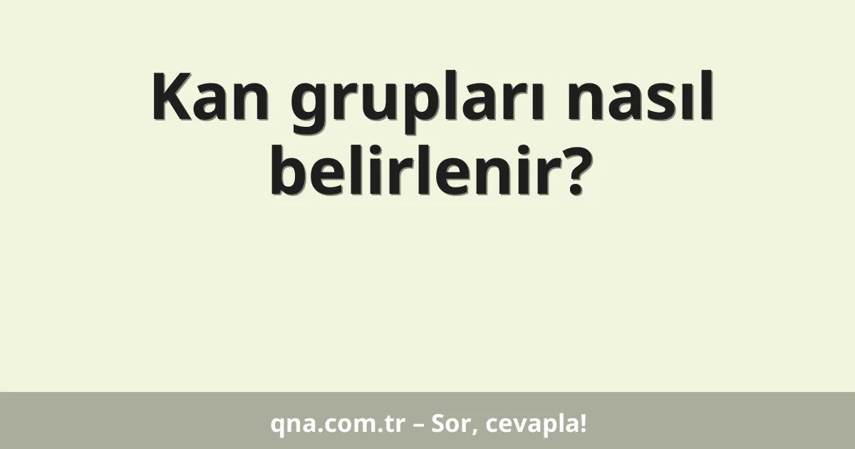 Kan grupları nasıl belirlenir?