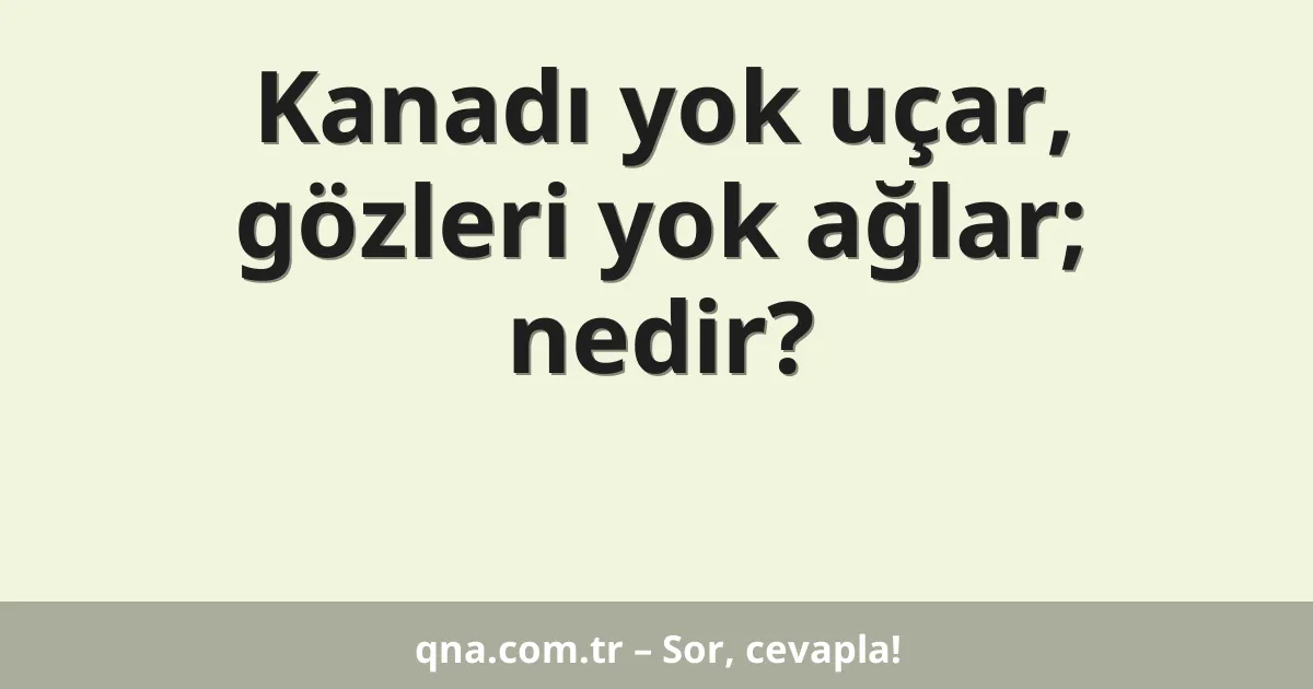 Kanadı yok uçar, gözleri yok ağlar; nedir?