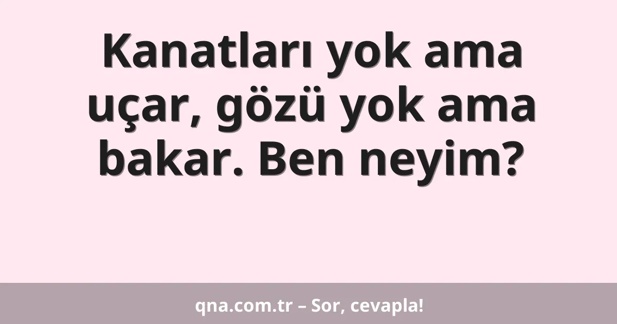 Kanatları yok ama uçar, gözü yok ama bakar. Ben neyim?