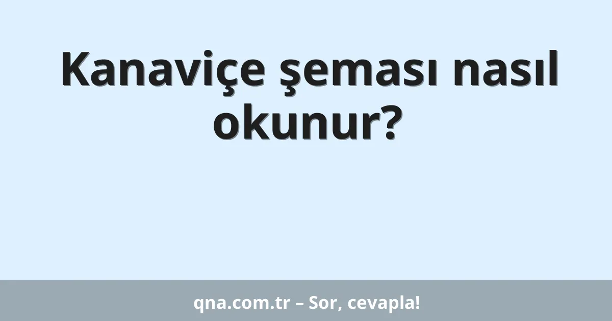 Kanaviçe şeması nasıl okunur?