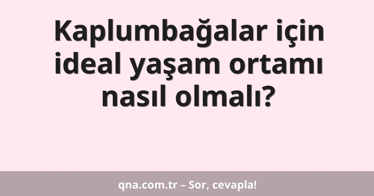 Kaplumbağalar için ideal yaşam ortamı nasıl olmalı?
