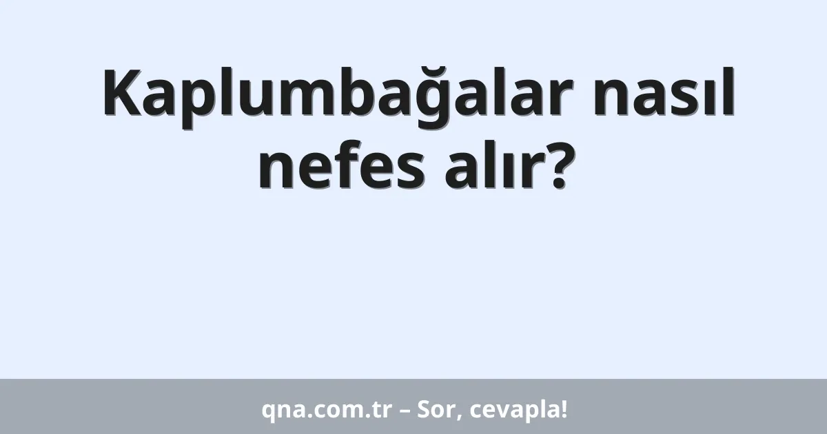 Kaplumbağalar nasıl nefes alır?