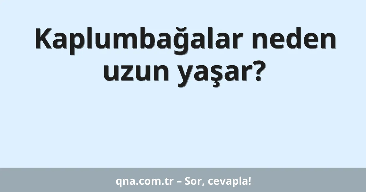 Kaplumbağalar neden uzun yaşar?