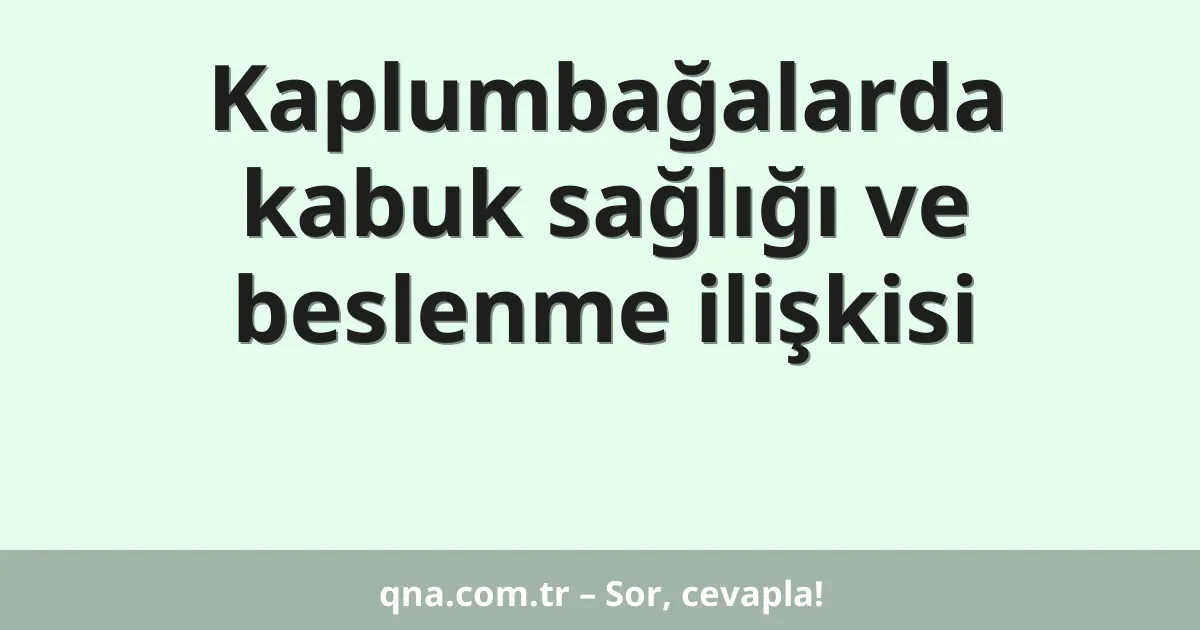 Kaplumbağalarda kabuk sağlığı ve beslenme ilişkisi