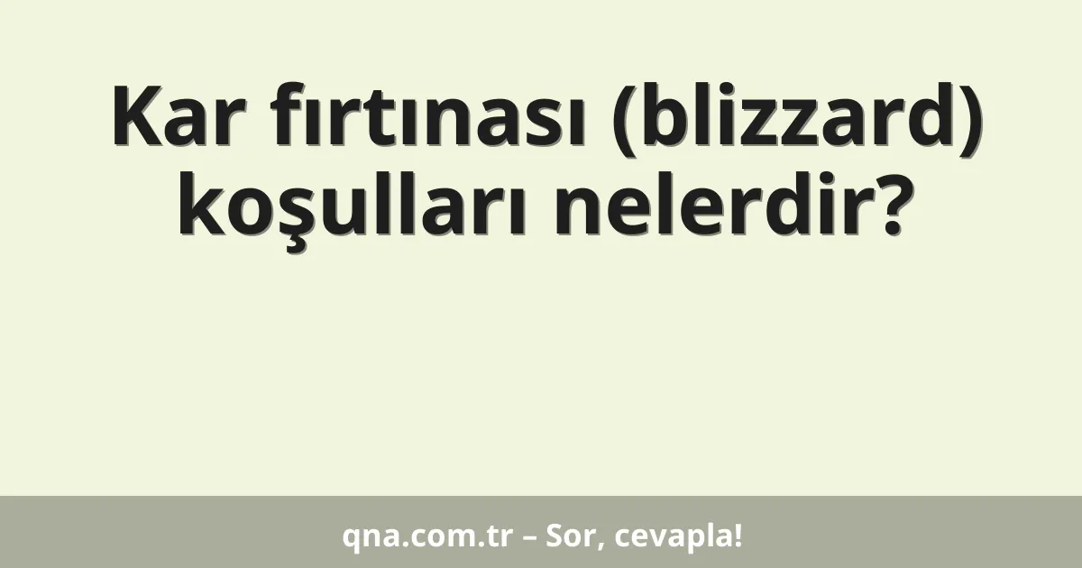 Kar fırtınası (blizzard) koşulları nelerdir?