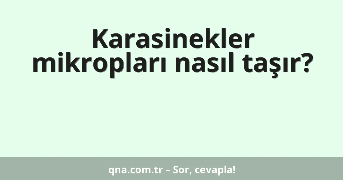 Karasinekler mikropları nasıl taşır?