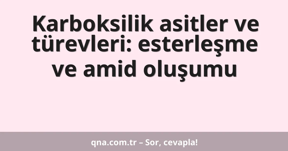 Karboksilik asitler ve türevleri: esterleşme ve amid oluşumu