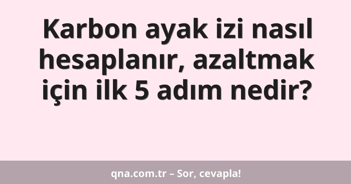 Karbon ayak izi nasıl hesaplanır, azaltmak için ilk 5 adım nedir?