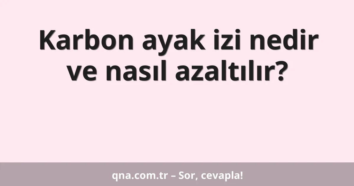 Karbon ayak izi nedir ve nasıl azaltılır?