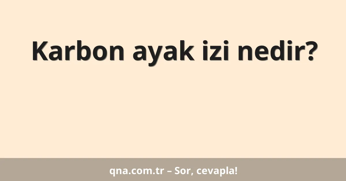 Karbon ayak izi nedir?