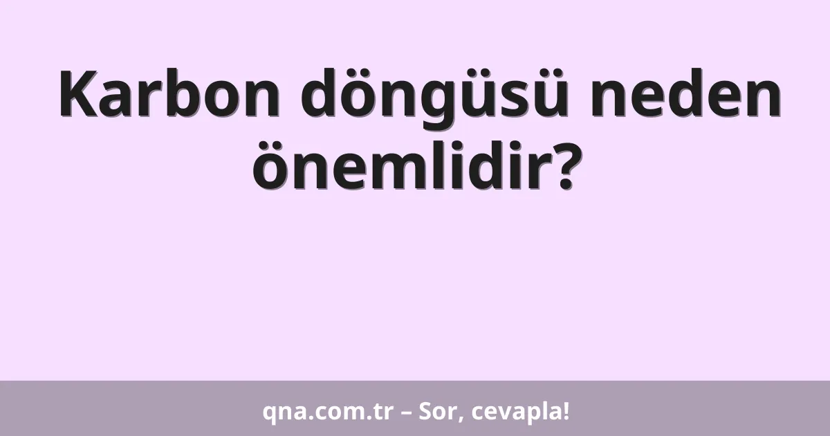 Karbon döngüsü neden önemlidir?