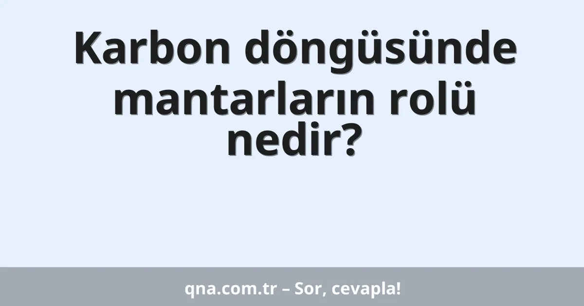 Karbon döngüsünde mantarların rolü nedir?