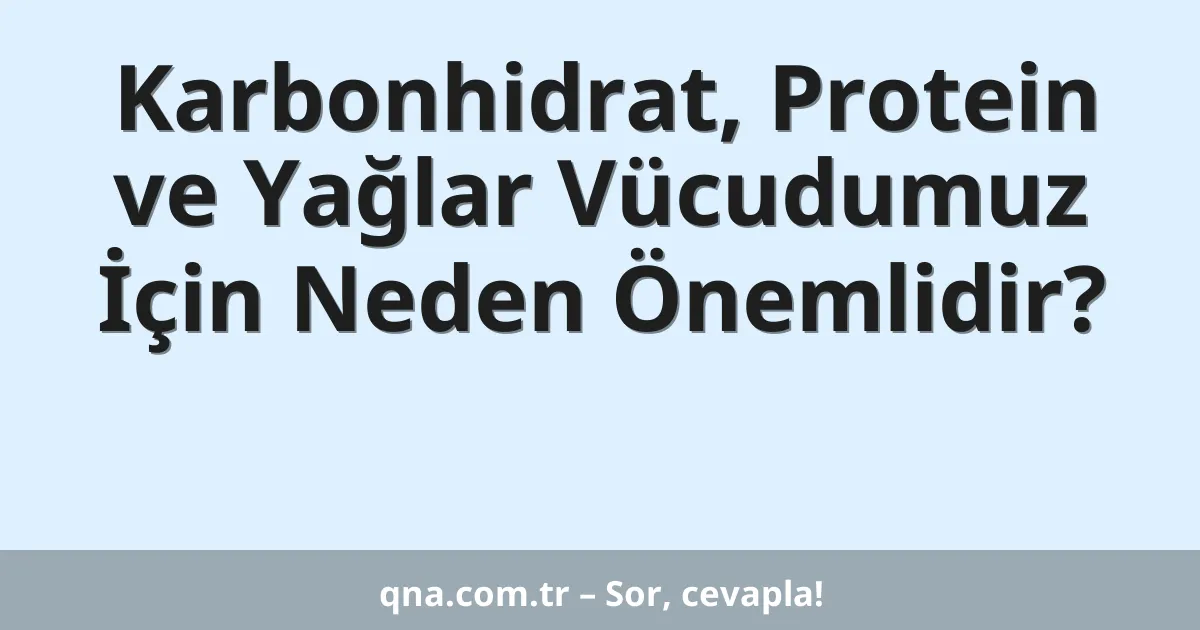Karbonhidrat, Protein ve Yağlar Vücudumuz İçin Neden Önemlidir?