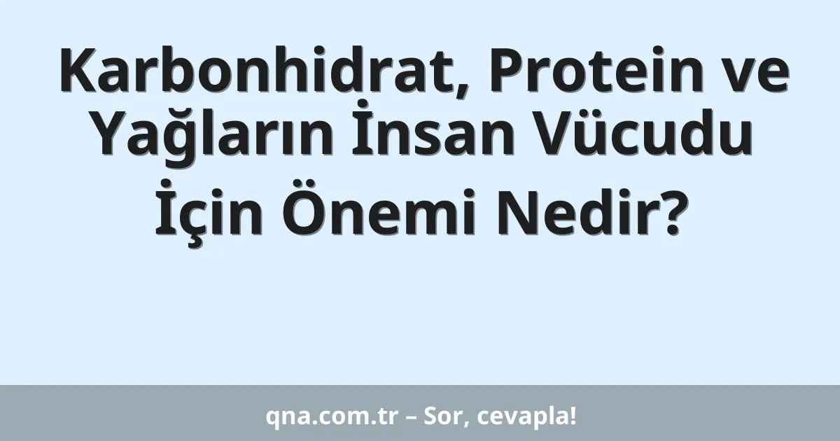 Karbonhidrat, Protein ve Yağların İnsan Vücudu İçin Önemi Nedir?