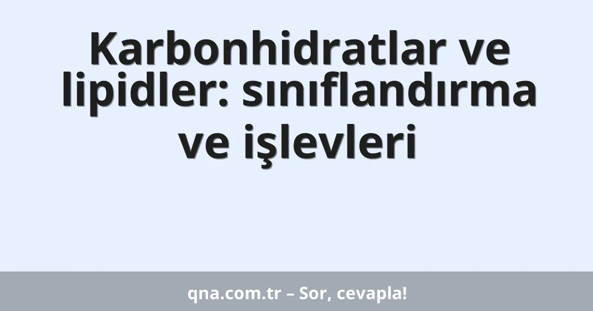 Karbonhidratlar ve lipidler: sınıflandırma ve işlevleri