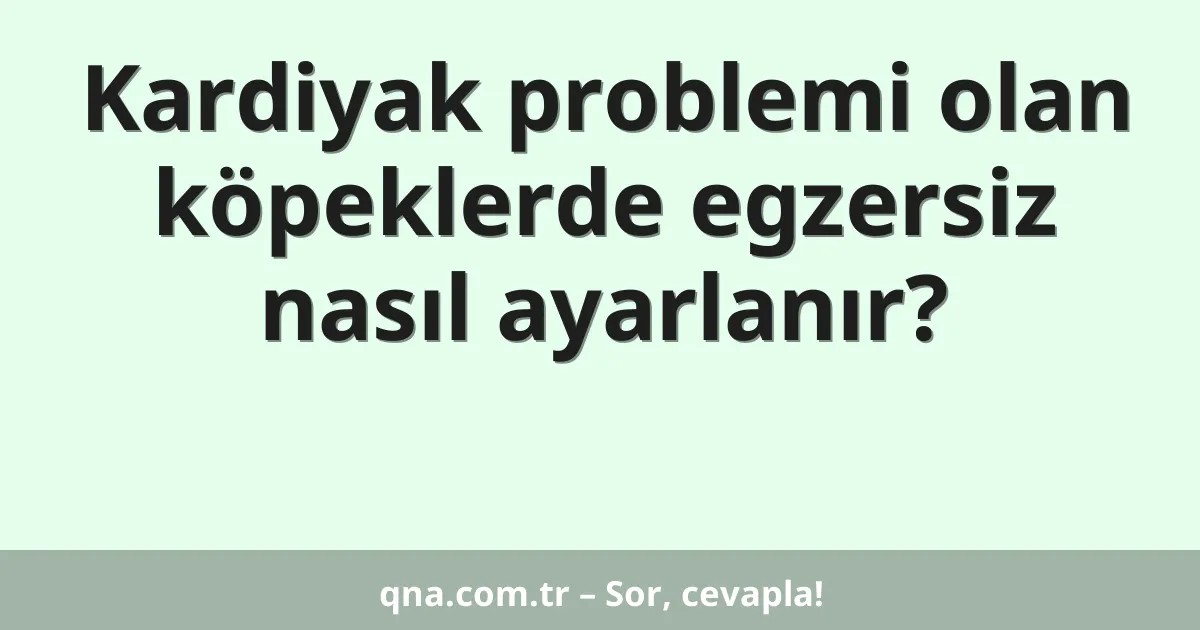 Kardiyak problemi olan köpeklerde egzersiz nasıl ayarlanır?
